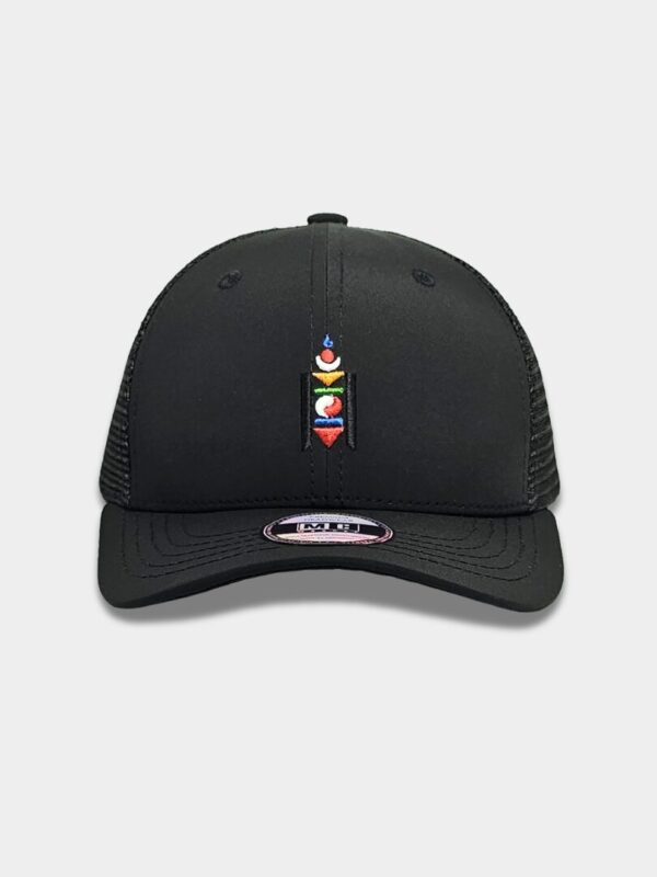 Соёмбо хар сетк